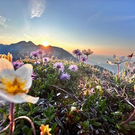 Ferienwohnung Gasser Hahnenkamm Blick ロイテ エクステリア 写真